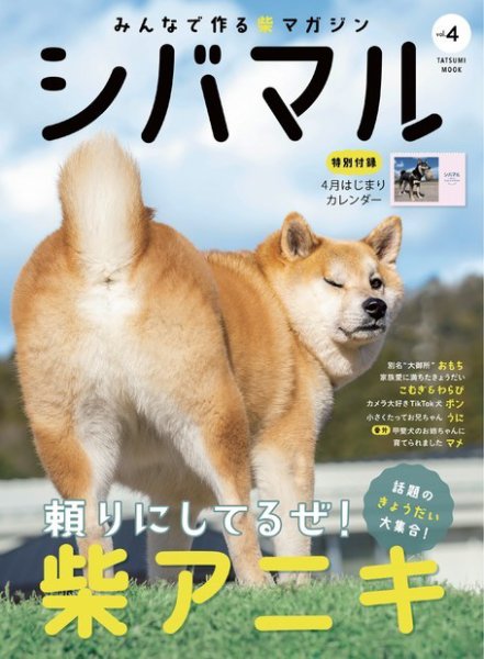 シバマル vol.4 (発売日2024年03月29日) 表紙