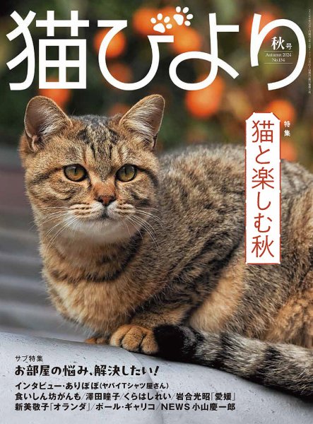 ちび猫※プロフ全文必読※2603W4 ちび猫※プロフ全文必読※様専用2601W4 【公式通販】