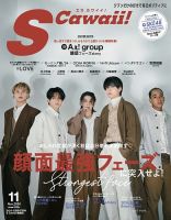 Scawaii！（エスカワイイ） 2024年11月号 (発売日2024年09月17日)