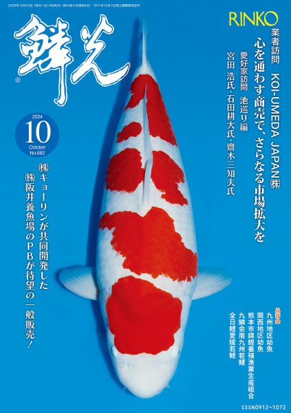 鱗光 2024年09月15日発売号 表紙