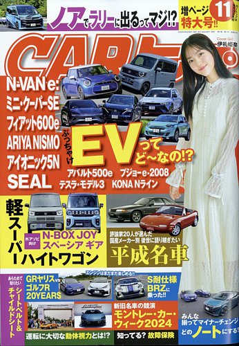 入手不可能！2004最後のトヨタカップ決勝・レアな一般販売チケット半券 入手不可能！2004最後のトヨタカップ決勝・レアな一般販売
