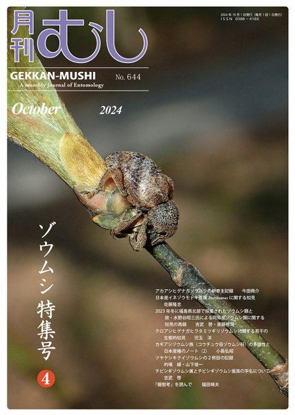月刊むし 644 (発売日2024年09月25日) 表紙