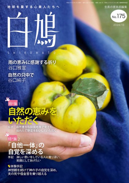 白鳩 No.175 (発売日2024年09月20日) 表紙