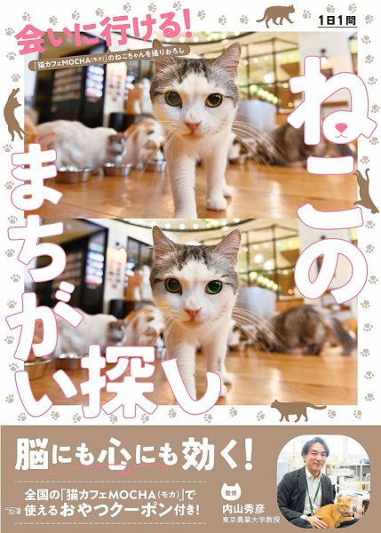 会いに行ける！ねこのまちがい探し 2024年03月22日発売号 表紙