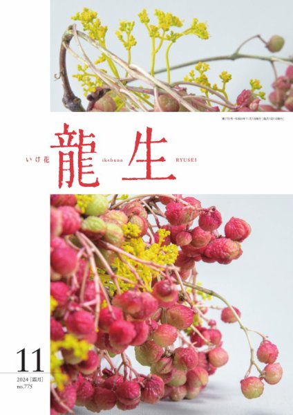 いけ花龍生 11月号 (発売日2024年11月01日) 表紙