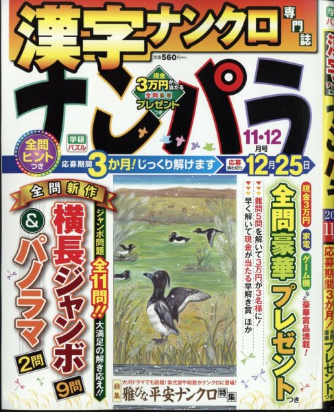 ナンパラ 2024年11月号 (発売日2024年09月26日) 表紙