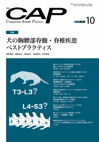 月刊CAP 2024年10月号 (発売日2024年10月01日) 表紙
