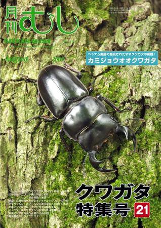 月刊むし 462 (発売日2009年07月20日) 表紙