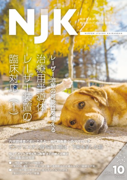 NJK Vol.278 (発売日2024年10月01日) 表紙