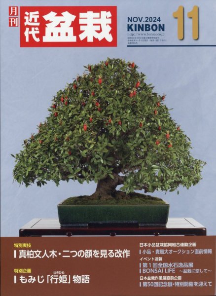 月刊 近代盆栽 2024年11月号 (発売日2024年10月04日) 表紙