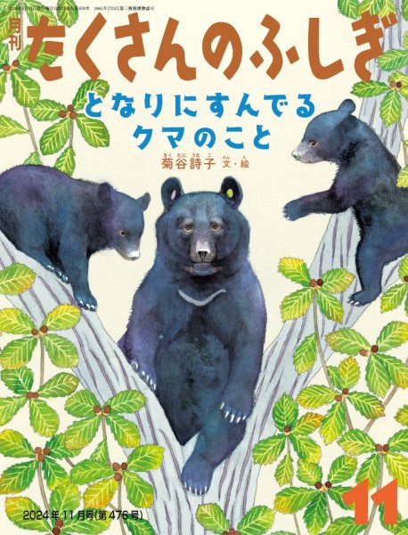 たくさんのふしぎ 2024年11月号 (発売日2024年10月03日) 表紙