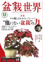 盆栽世界　17冊　＋　その他盆栽　雑誌・本セット 盆栽世界 17冊 ＋ その他盆栽 雑誌・本セット