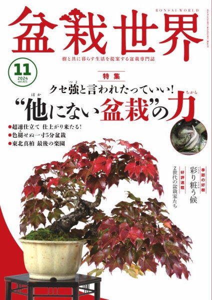 盆栽世界 2024年11月号 (発売日2024年10月04日) 表紙