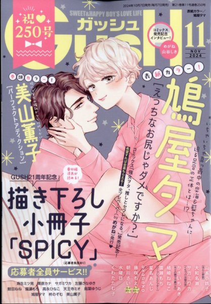 GUSH（ガッシュ） 2024年11月号 (発売日2024年10月07日) 表紙