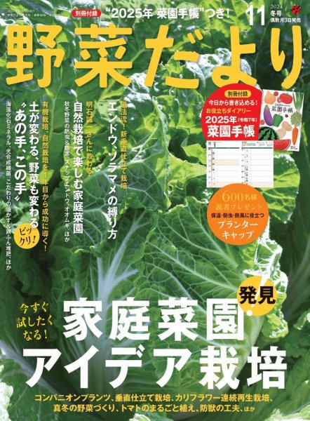 野菜だより 2024年11月号 (発売日2024年10月03日) 表紙