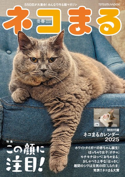ネコまる 冬春号 vol.49 (発売日2024年11月21日) | 雑誌/定期購読の