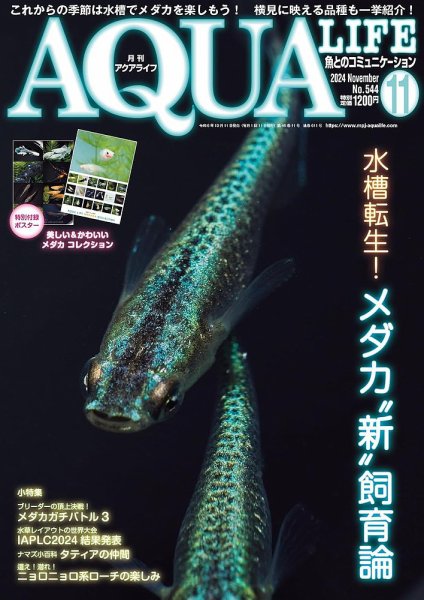 アクアライフ 11月号 (発売日2024年10月11日) | 雑誌/電子書籍/定期