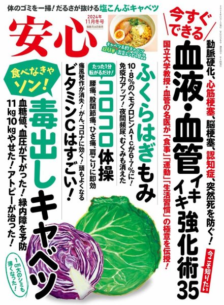 安心 2024年11月号 (発売日2024年10月16日) 表紙