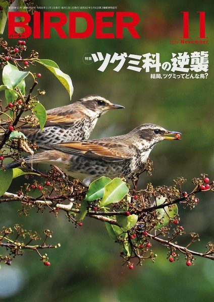 BIRDER（バーダー） 2024年11月号 (発売日2024年10月16日) 表紙