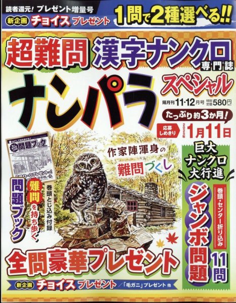 ナンパラSpecial 2024年11月号 (発売日2024年10月11日) 表紙