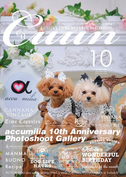 Cuun（クーン） 2024年10月号 (発売日2024年10月10日) 表紙