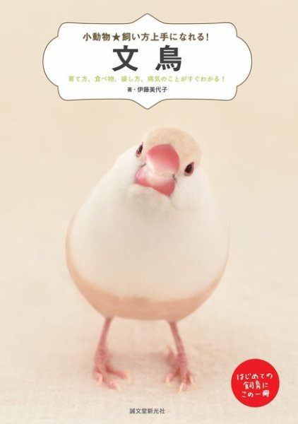 小動物☆飼い方上手になれる！ 文鳥 (発売日2017年11月09日) 表紙