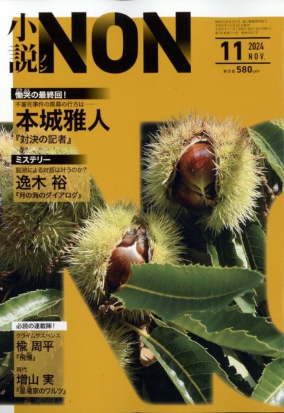 小説NON 2024年11月号 (発売日2024年10月22日) 表紙