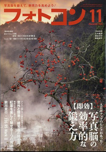 n フォトコンテスト 雑誌