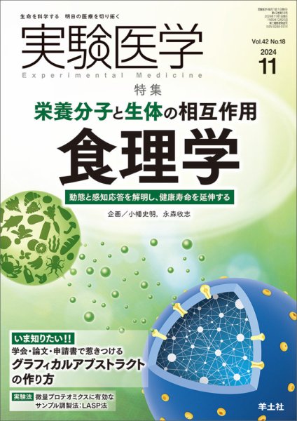 実験医学 Vol.42No.18 (発売日2024年10月20日) 表紙