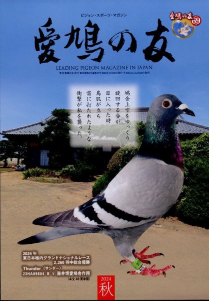 愛鳩の友 2024年11月号 (発売日2024年10月29日) 表紙