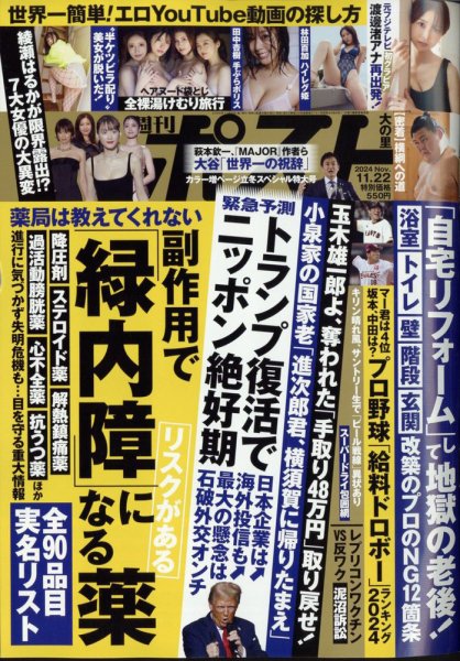 週刊ポスト 2024年11/22号 (発売日2024年11月08日) 表紙
