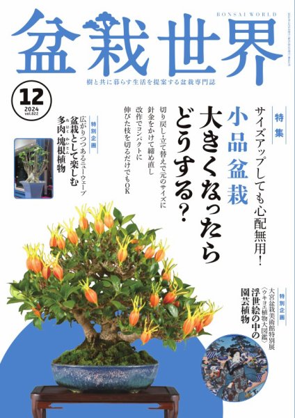 盆栽世界 2024年12月号 (発売日2024年11月01日) 表紙