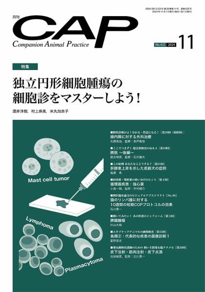 月刊CAP 2024年11月号 (発売日2024年11月01日) 表紙