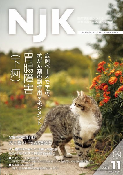 NJK Vol.279 (発売日2024年11月01日) 表紙