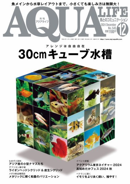 アクアライフ 12月号 (発売日2024年11月11日) 表紙