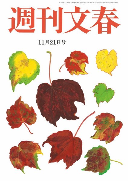 週刊文春 11月21日号 (発売日2024年11月14日) 表紙