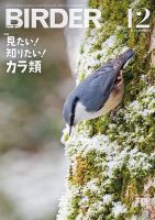 BIRDER（バーダー）のバックナンバー (2ページ目 15件表示) | 雑誌