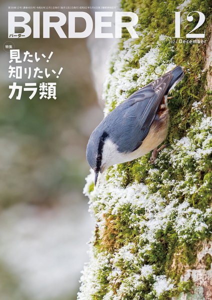 BIRDER（バーダー） 2024年12月号 (発売日2024年11月15日) 表紙