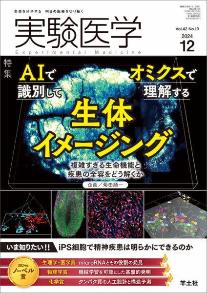 実験医学 Vol.42No.19 (発売日2024年11月20日) 表紙