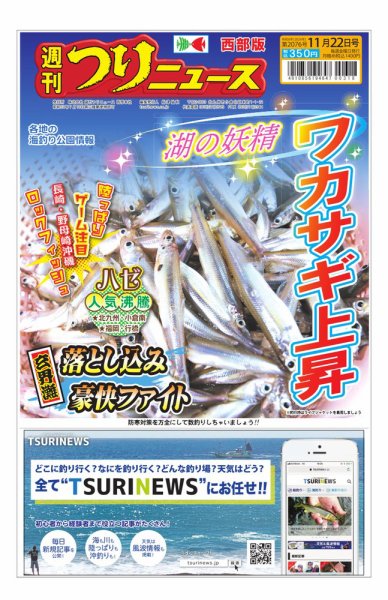 週刊つりニュース　西部版 2024年11月18日発売号 表紙