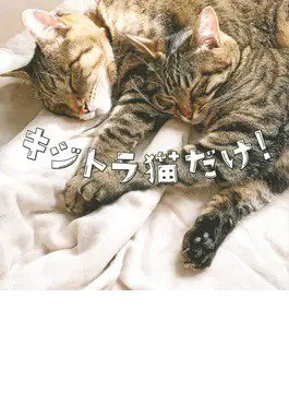 キジトラ猫だけ！（TOKYO NEWS BOOKS） 2020年09月23日発売号 表紙