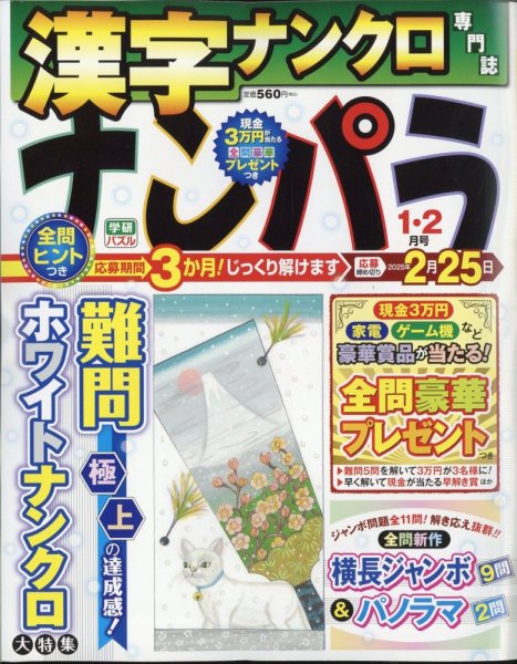 ナンパラ 2025年1月号 (発売日2024年11月26日) 表紙