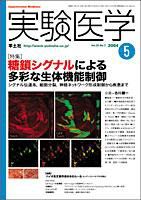 実験医学 5月号 Vol.22 No.7 表紙