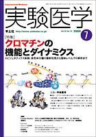 実験医学 7月号 Vol.22 No.10 表紙