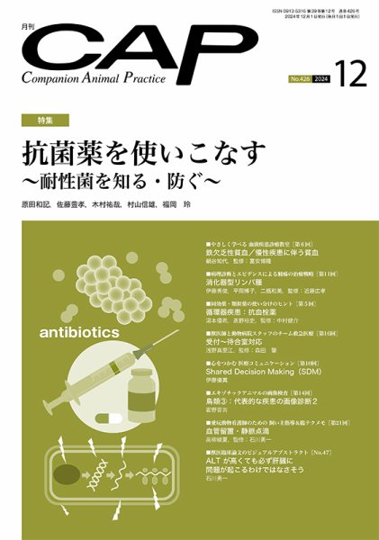 月刊CAP 2024年12月号 (発売日2024年12月01日) 表紙