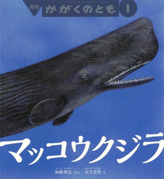 かがくのとも 2025年1月号 (発売日2024年12月03日) | 雑誌/定期購読の