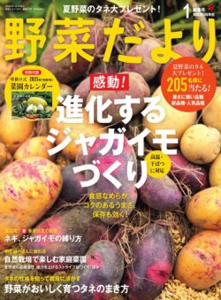 野菜だより 2025年1月号 (発売日2024年12月03日) 表紙