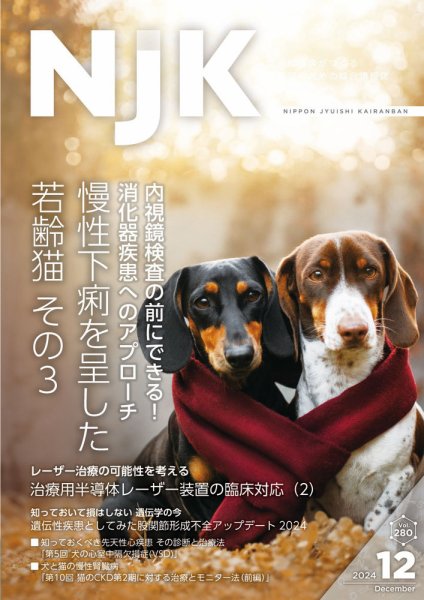 NJK Vol.280 (発売日2024年12月01日) 表紙