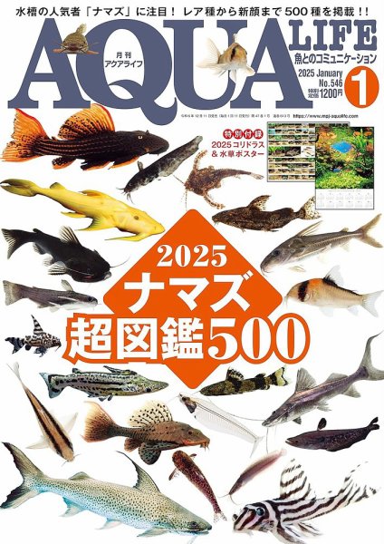 アクアライフ 1月号 (発売日2024年12月11日) | 雑誌/電子書籍/定期購読