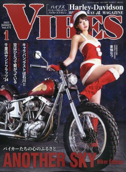 VIBES（バイブズ） 2025年1月号 (発売日2024年12月11日) 表紙